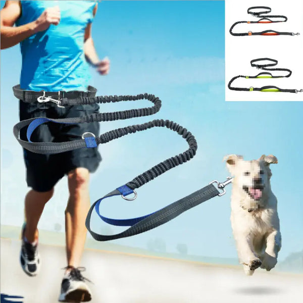 FlexiGlow Dog Jogger